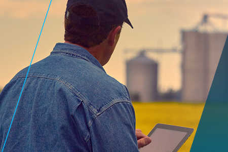 Bayer Crop Science: Agricultural Intelligence
